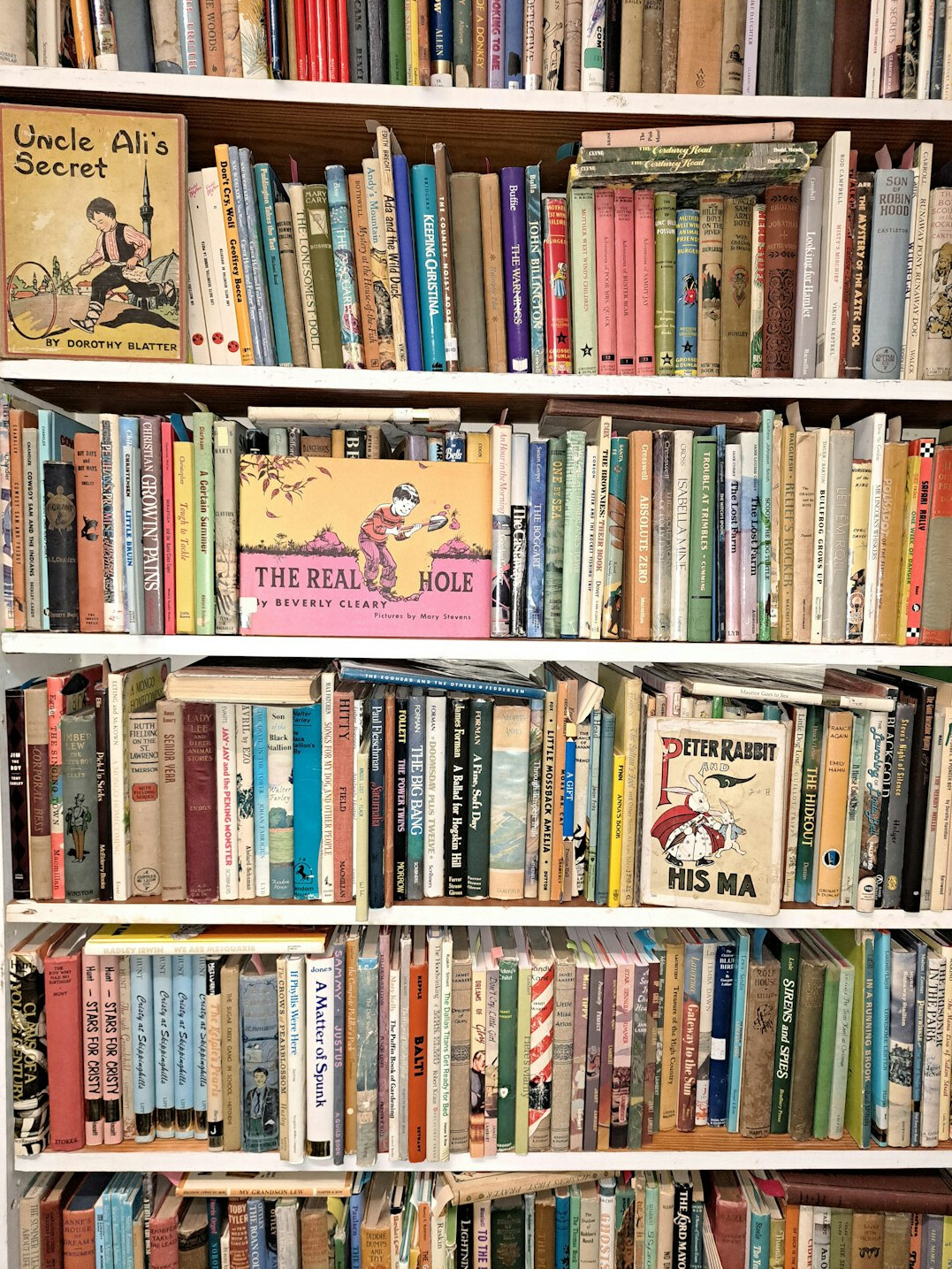 Rows of old books on a shelf